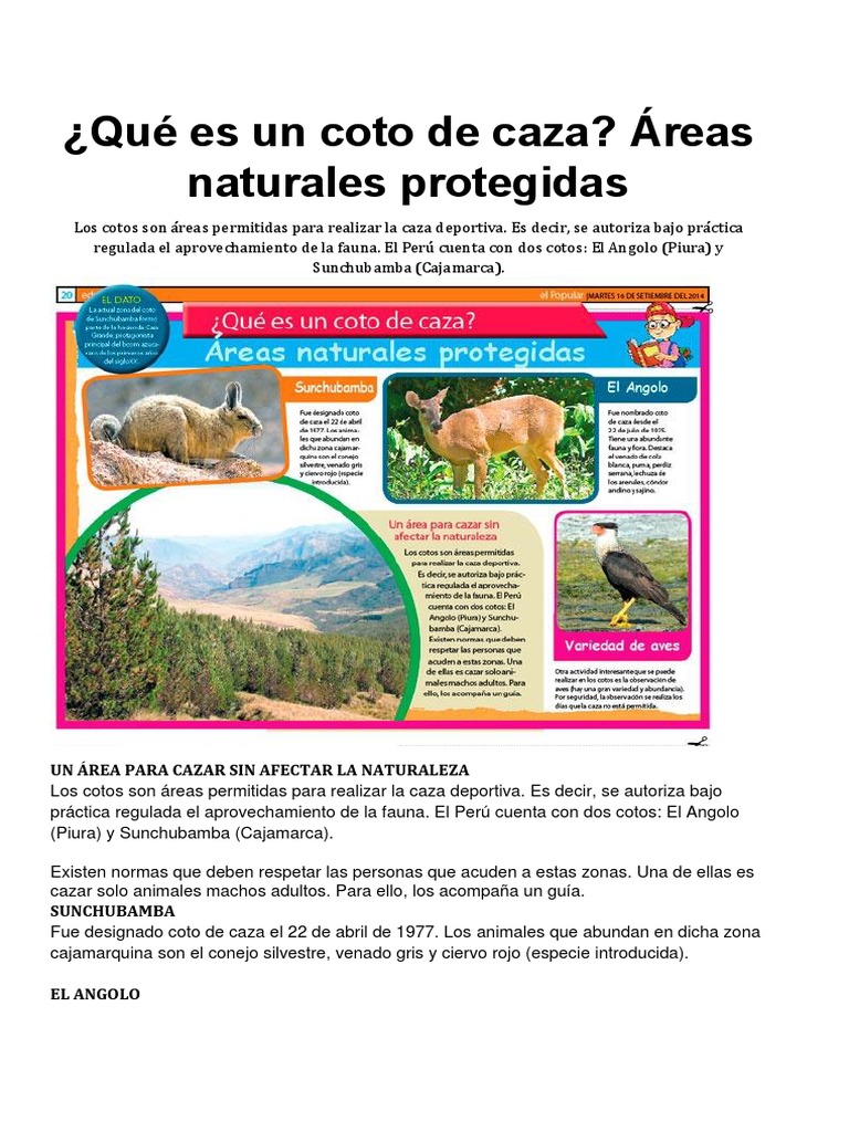 Qué Es Un Coto de Caza, Santuario, Reserva Caza Ecología