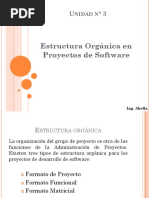 Estructura Organica de Proyectos de Software