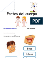 Partes Del Cuerpo