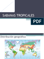 Sabana Tropical