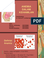 Anemia Dalam Kehamilan