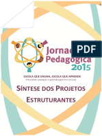 sintese-dos-projetos-estruturantes.pdf