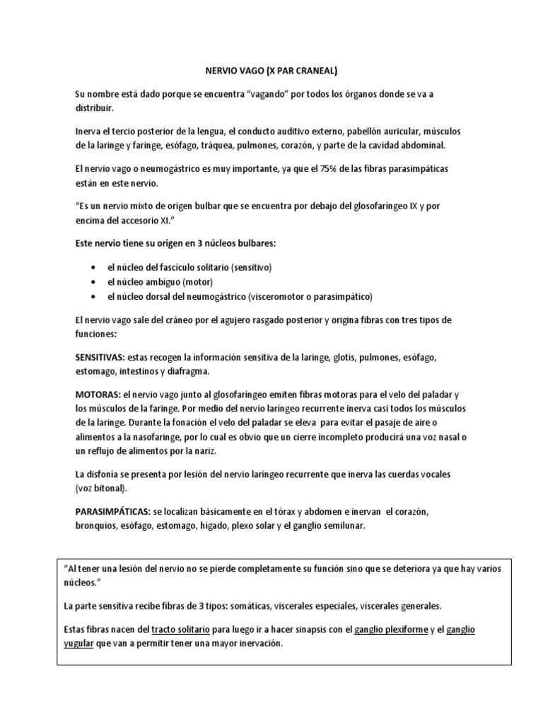Nervio Vago Pdf Nervio Vago Abdomen