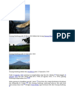 Gunung Sinabung Meletus 4 Januari 2014
