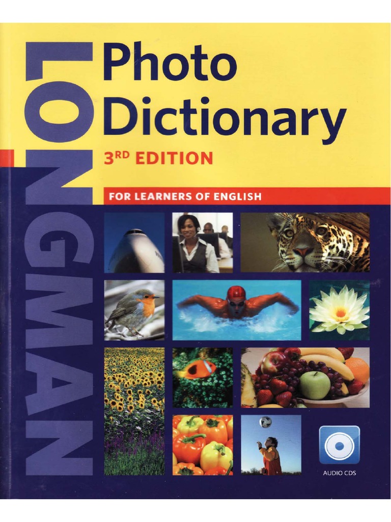SACHET  English meaning - Cambridge Dictionary