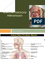 Anatomi Fisiologi Pernafasan