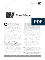 Corn Silage: Foraging Ahead For A Greener Tomorrow