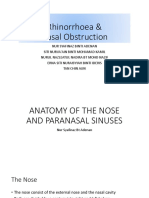 Seminar 1 Rhinorrhoea Nasal Airway Obstruction