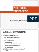 1.3.3.1 - Hematopoiesis