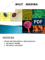 Metabolit Mikroba (Mikro Pangan)