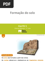 FormaÃ§Ã£o do solo (1)
