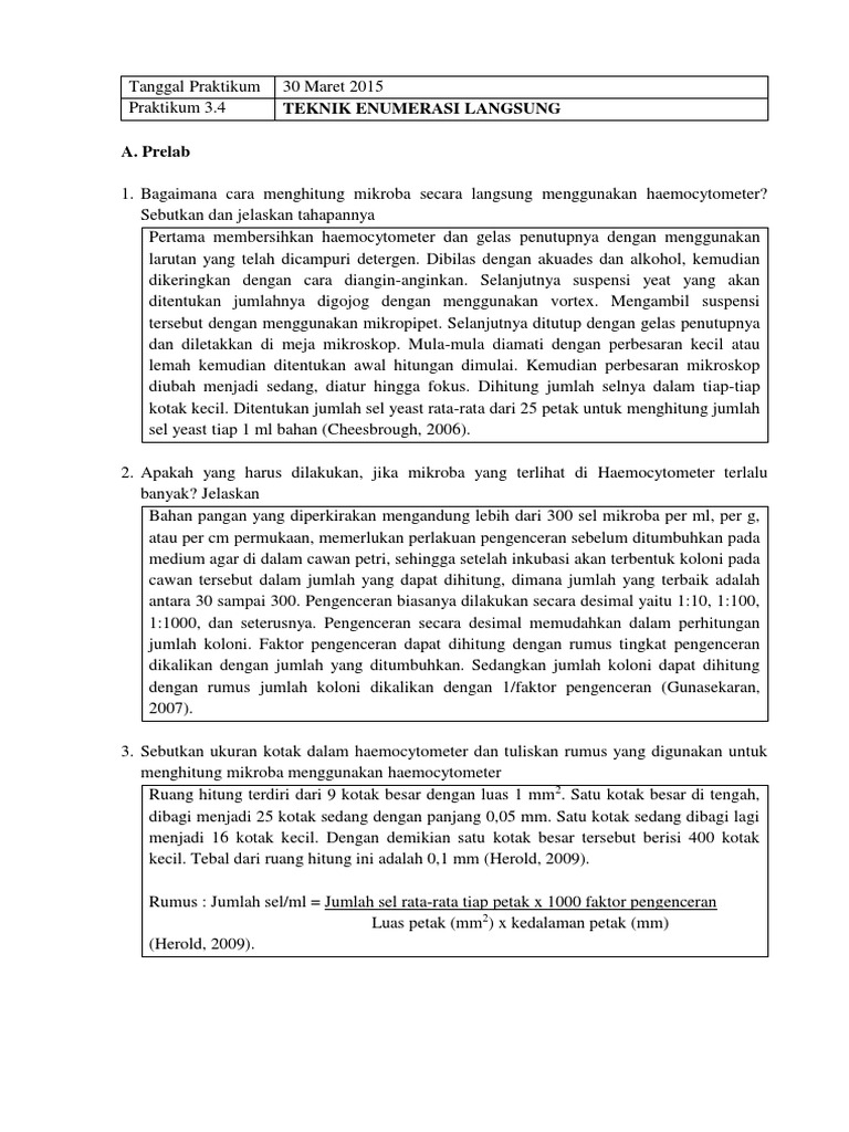 Penghitungan Sel S. Cerevisiae 24 & 48 Jam | PDF
