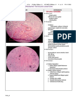 249048598-patologi-anatomi-blok-endokrin.doc
