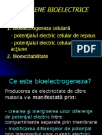 Bioelectric It 07
