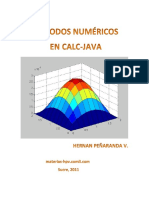 Metodos Numericos en Calc-Java - 2011