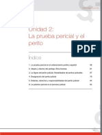 La Prueba Pericial y el Perito control de lectura (2).pdf