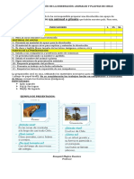 Pauta Disertacion 1º A