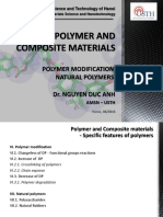 Polymer and Composite Materials - Polymer Modification