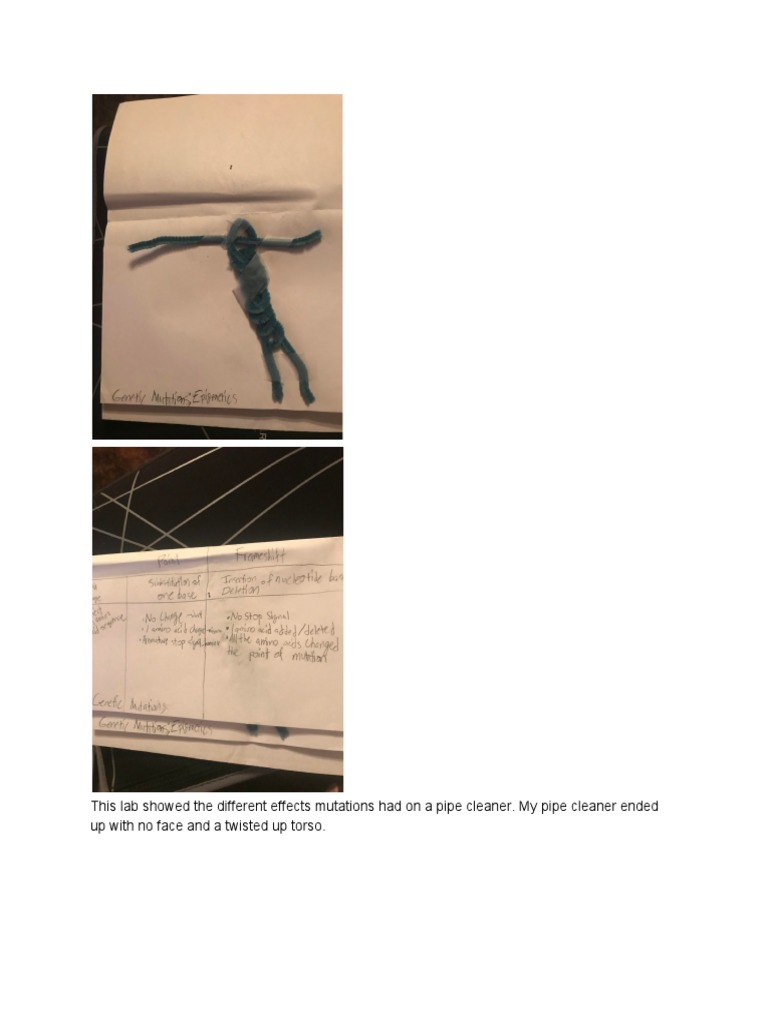Pipe Cleaner Lab | PDF