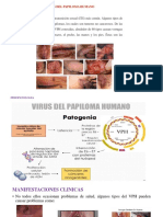 Definicion:: Virus Del Papiloma Humano