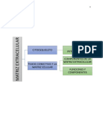 Matriz Extracelular