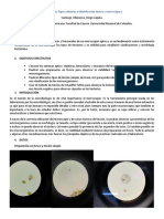 Informe 1. Microbiología