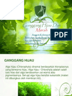 Ganggang Hijau Dan Merah