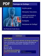 02 TGI-esôfago 2016