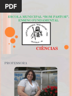 Slaids Aula de Ciencias 4º e 3º Ano Animais 2º Bimestre