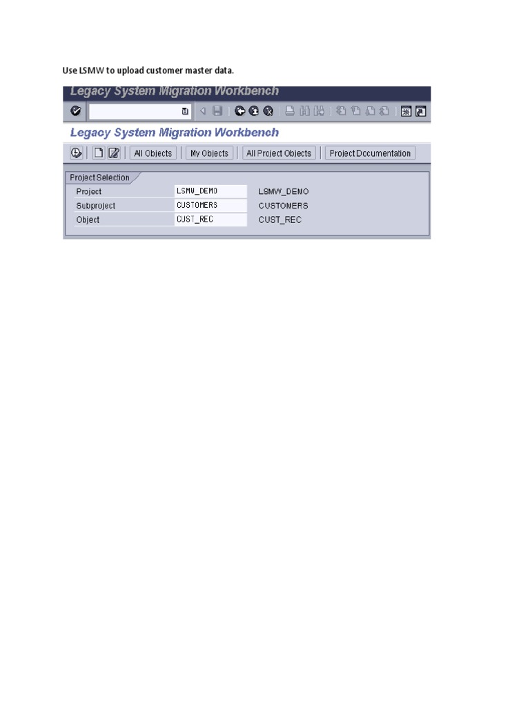 LSMW Guide for Data Upload | PDF