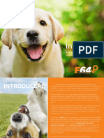 InstaPet - Fotografia animalelor de companie in citeva cuvinte.pdf