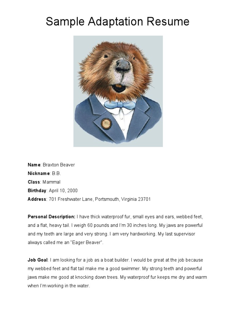 Sample Animal Resume PDF