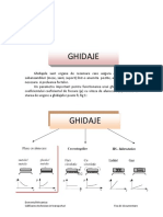didactic_ghidaje.pdf