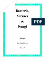 Bacteria.docx