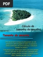 Download Calculo de Tamanho de Amostra by Eric Coelho SN37426446 doc pdf