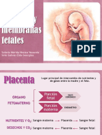 Placenta y Membranas Fetalesss