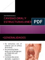 2._CavidadOral__126__0