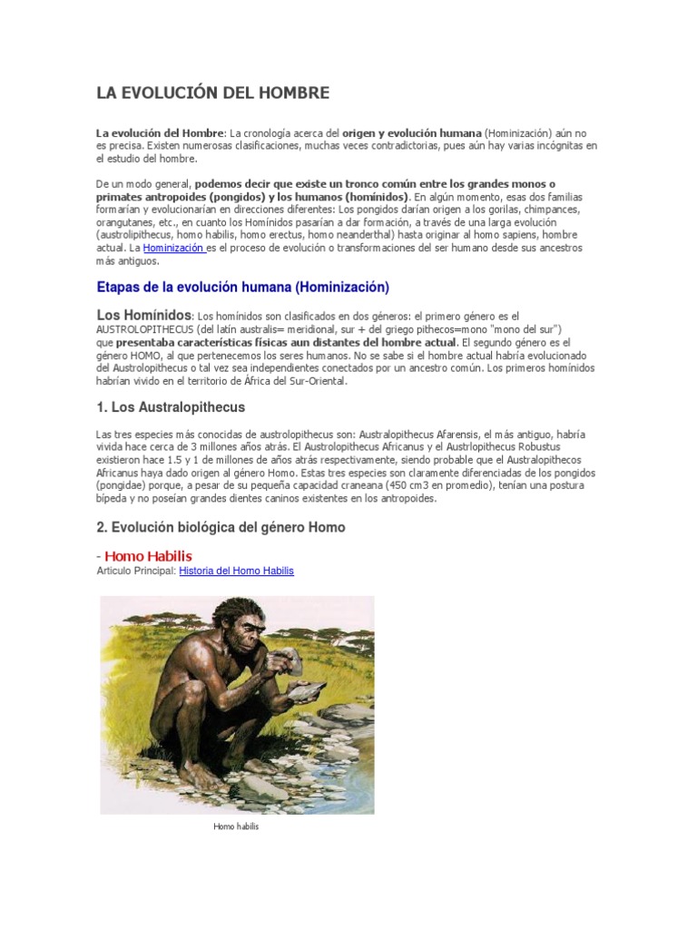 La Evolución Del Hombre | PDF | Evolución humana | Homo