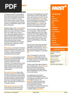 Digestive SystemHS