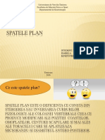 SPATELE PLAN (1).pptx