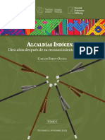 Alcaldias_indigenas._Diez_anos_despues_d (2).pdf