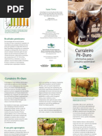 Folder Curraleiro Pe Durobaixa2 (1)