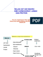 Interrealasi Zat Gizi Makro Metabolisme Karbohidrat, Lemak Dan Protein 