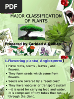 Major Classification of Plants