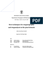 New Techniques For Steganography and Steganalysis in The Pixel Domain 2009 Thesis 1245340893