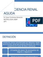 Insuficiencia Renal Aguda