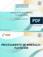Procesamiento_Minerales_Flotacion.pdf