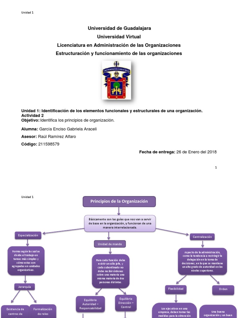 Mapa Conceptual Principios de La Organizacion Business