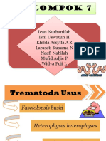 Parasitologi - 7. Trematoda.pptx