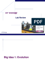 AP Biology: Lab Review